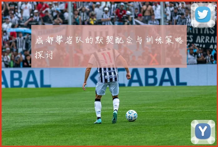 成都攀岩队的默契配合与训练策略探讨