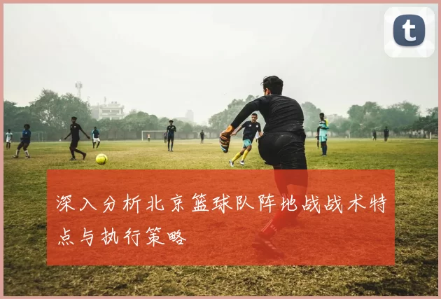 深入分析北京篮球队阵地战战术特点与执行策略