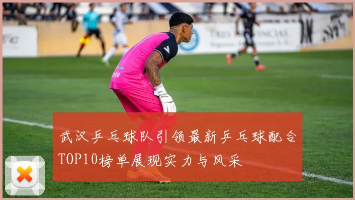 武汉乒乓球队引领最新乒乓球配合TOP10榜单展现实力与风采