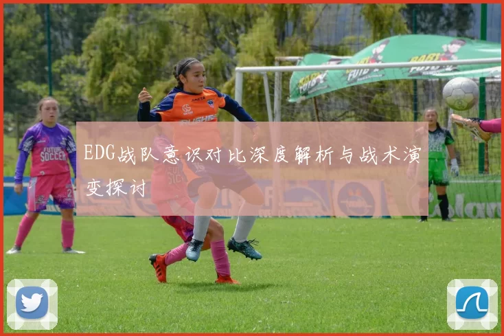 EDG战队意识对比深度解析与战术演变探讨
