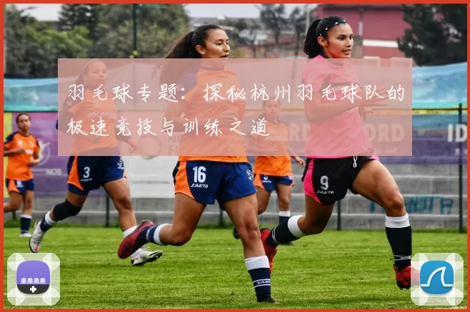 羽毛球专题：探秘杭州羽毛球队的极速竞技与训练之道