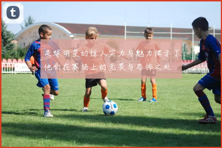 足球明星的惊人实力与魅力揭示了他们在赛场上的无畏与恐怖之处