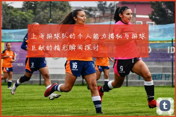 上海排球队的个人能力揭秘与排球巨献的精彩瞬间探讨