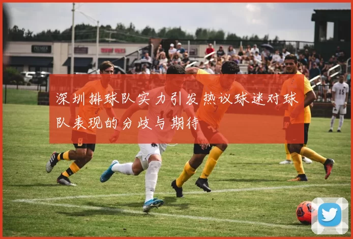 深圳排球队实力引发热议球迷对球队表现的分歧与期待