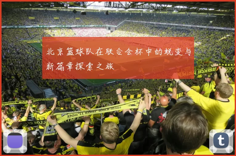 北京篮球队在联合会杯中的蜕变与新篇章探索之旅