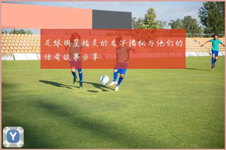 足球明星精灵的名字揭秘与他们的传奇故事分享