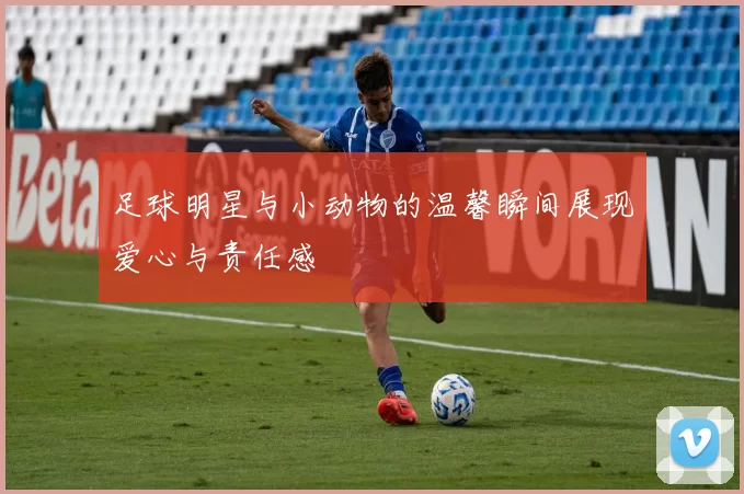足球明星与小动物的温馨瞬间展现爱心与责任感