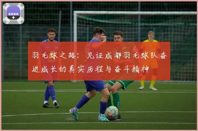 羽毛球之路：见证成都羽毛球队奋进成长的真实历程与奋斗精神