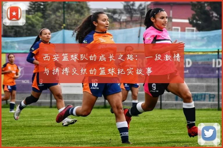 西安篮球队的成长之路：一段激情与拼搏交织的篮球纪实故事